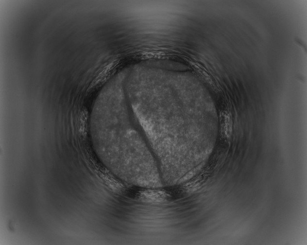 X0000097480712200803201509