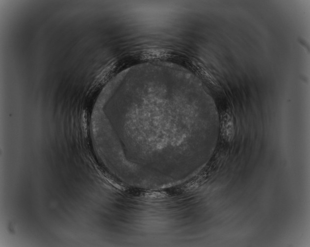 X0000097480716200803201509