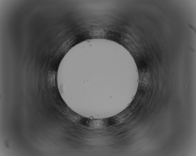 X0000097480717200803201509