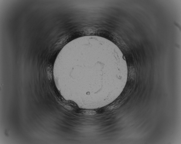 X0000097480719200803201509