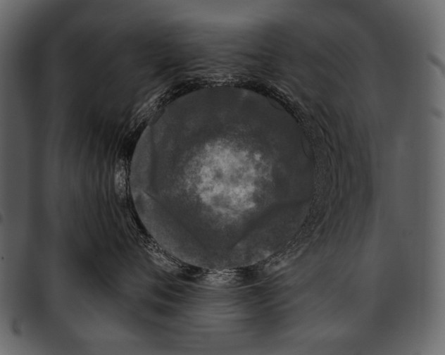 X0000097480720200803201509