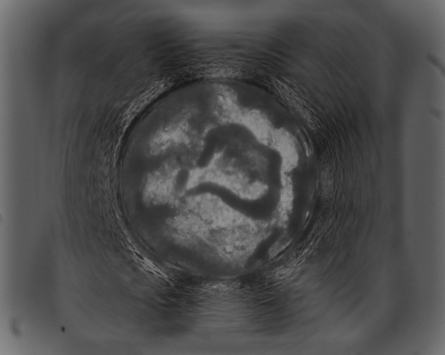 X0000097480721200803201508