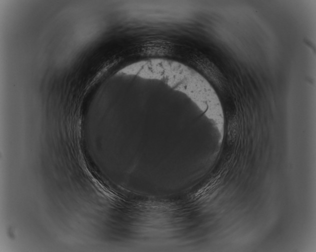 X0000097480722200803201508