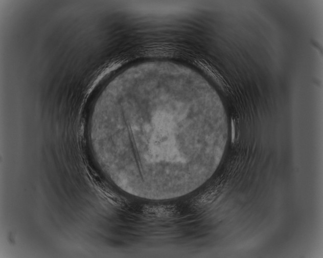 X0000097480723200803201508