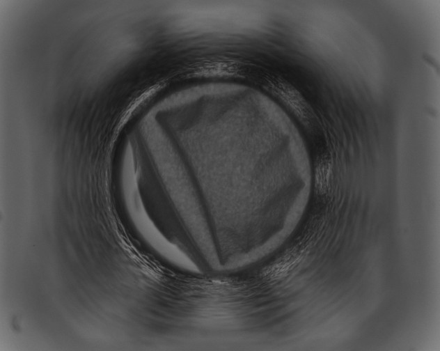 X0000097480724200803201508