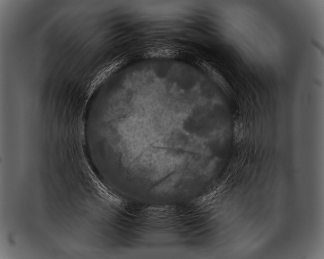 X0000097480725200803201509