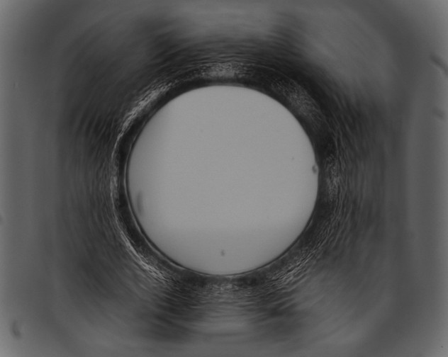 X0000097480728200803201509