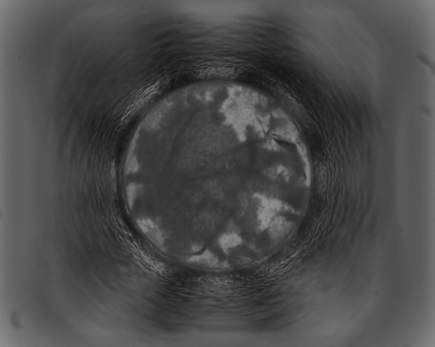 X0000097480729200803201509