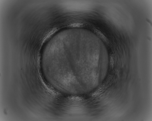 X0000097480730200803201509