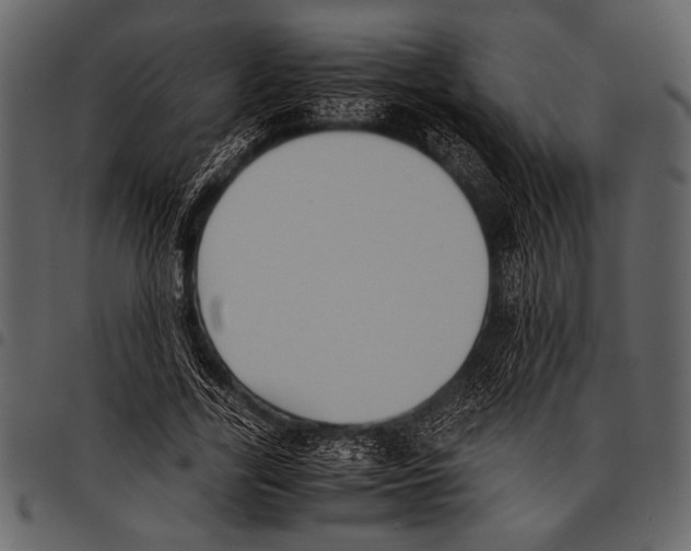 X0000097480731200803201509