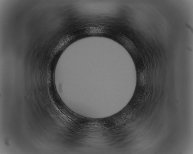 X0000097480732200803201509