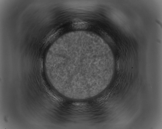 X0000097480733200803201509