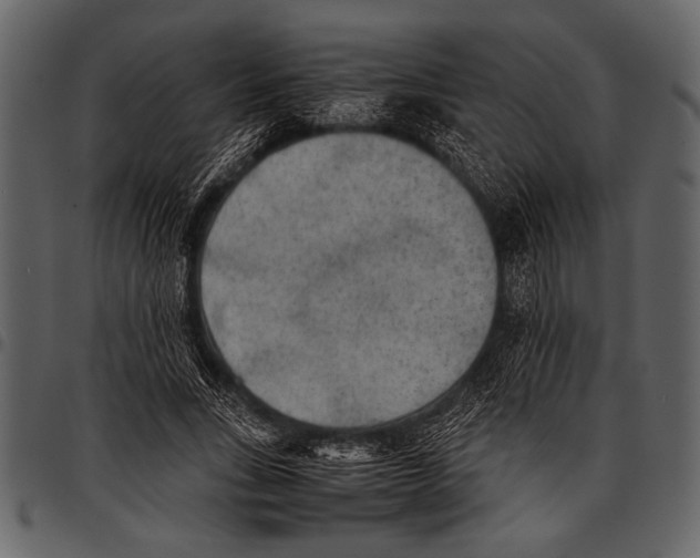 X0000097480735200803201509