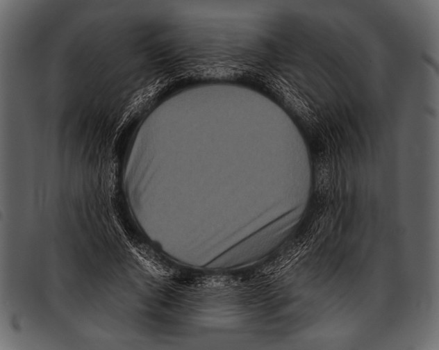 X0000097480736200803201509