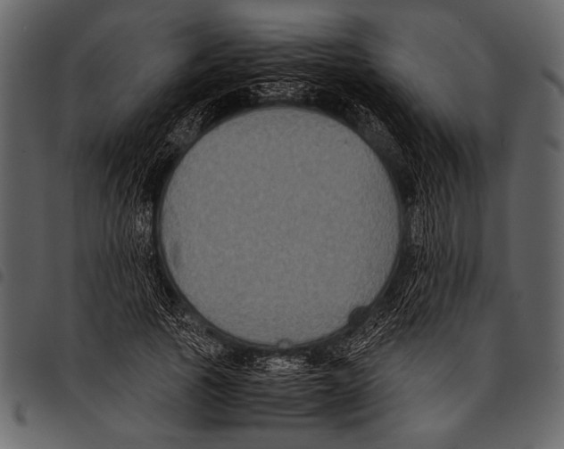 X0000097480737200803201509