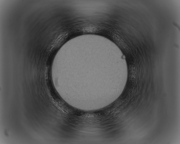 X0000097480738200803201509