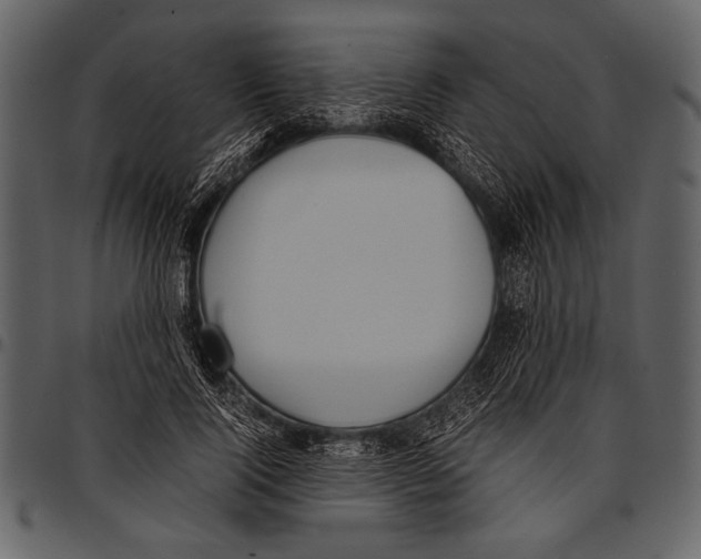 X0000097480740200803201509