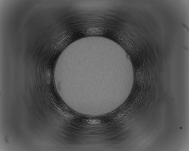 X0000097480741200803201509