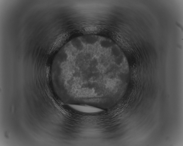 X0000097480742200803201509