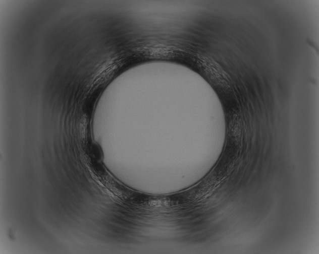 X0000097480744200803201509