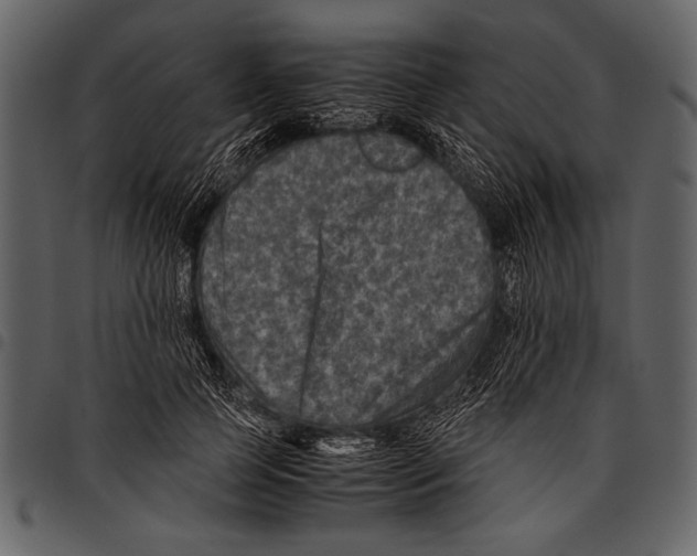 X0000097480745200803201509