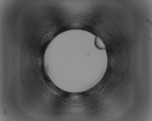 X0000097480746200803201509