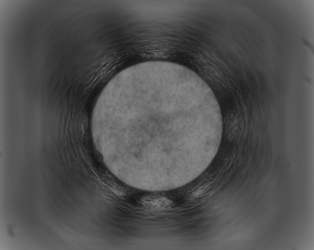 X0000097480747200803201509