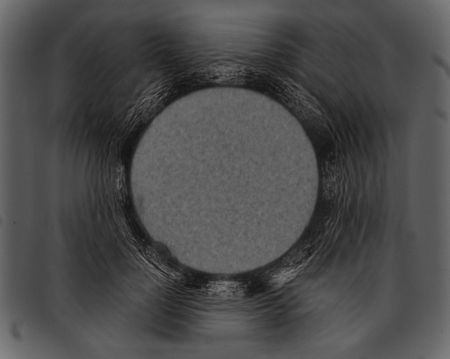 X0000097480748200803201509