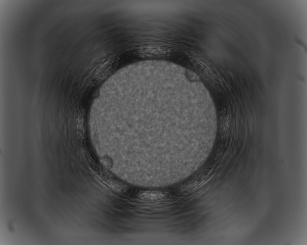 X0000097480749200803201509