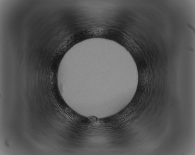 X0000097480750200803201509