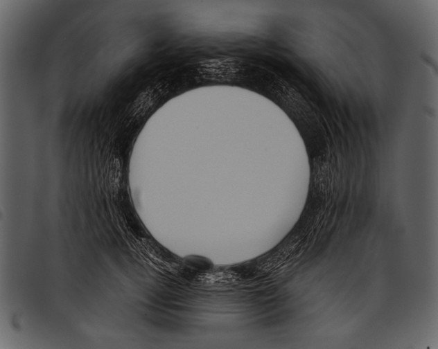 X0000097480752200803201509