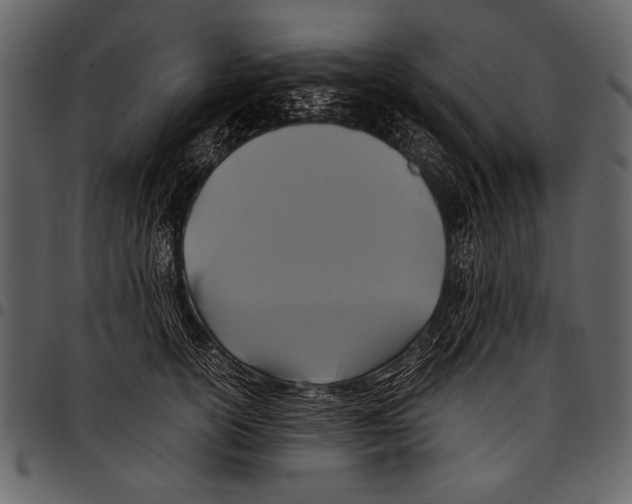 X0000097480754200803201509