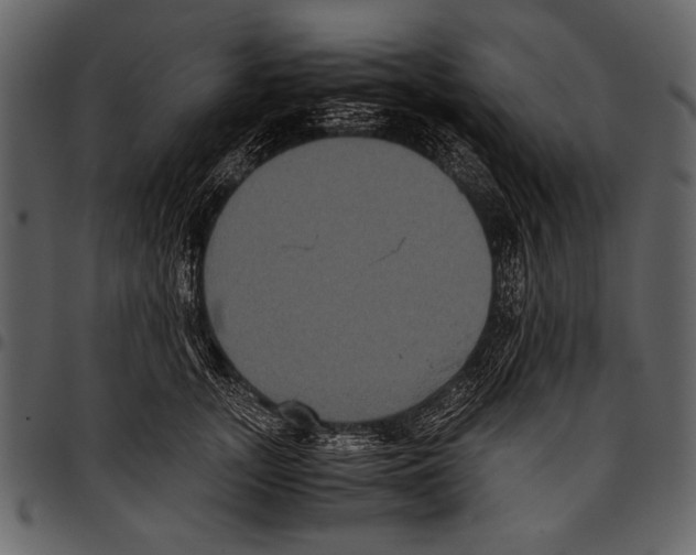 X0000097480755200803201509