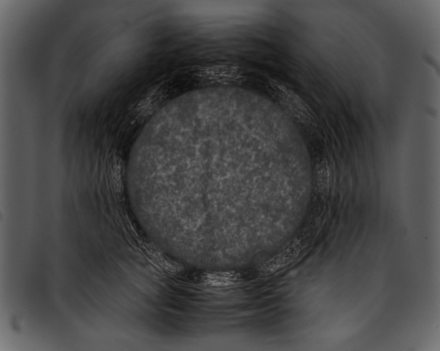 X0000097480757200803201509