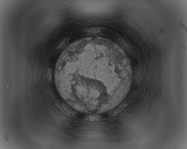 X0000097480758200803201509