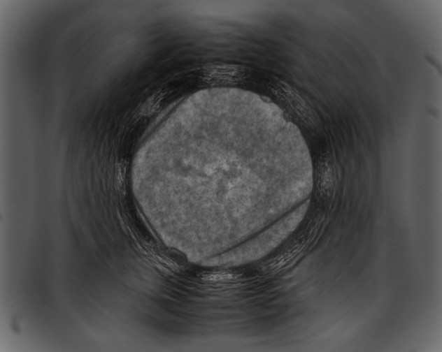 X0000097480759200803201509