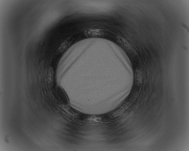 X0000097480760200803201509