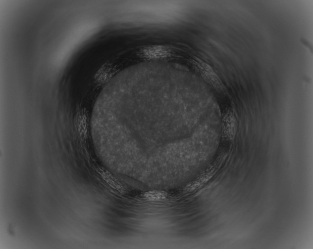 X0000097480762200803201509