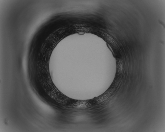 X0000097480764200803201509