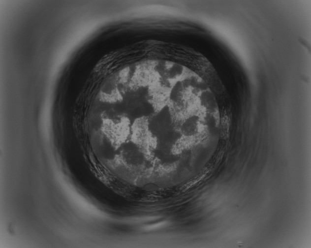 X0000097480765200803201509