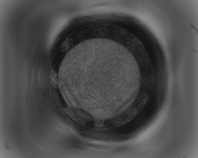 X0000097480766200803201509