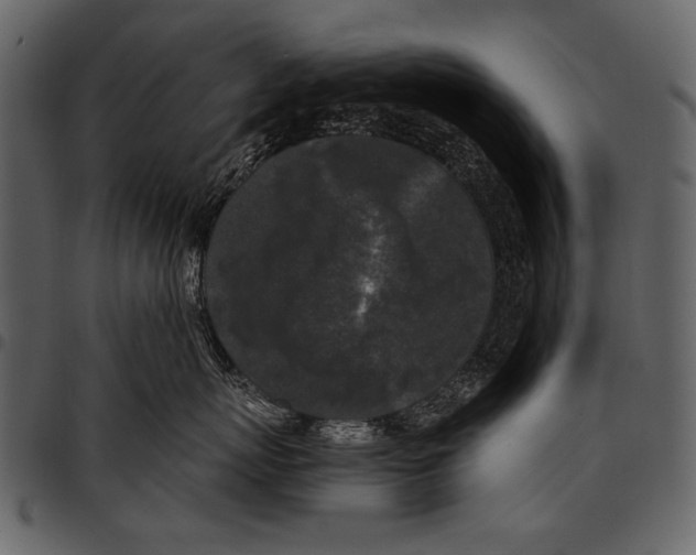 X0000097480767200803201509