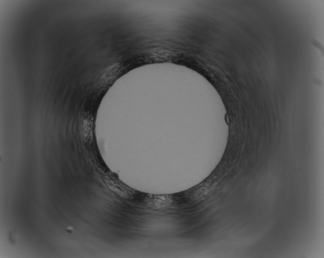 X0000097480768200803201509