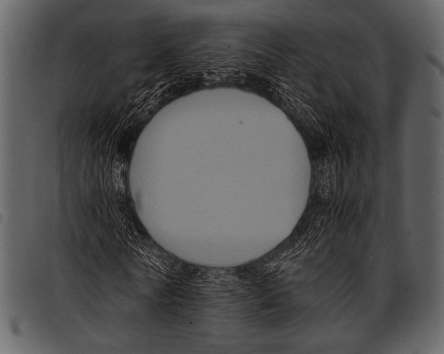 X0000097480770200803201508