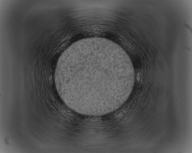 X0000097480771200803201508