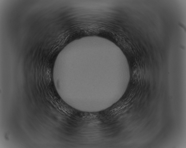 X0000097480772200803201508