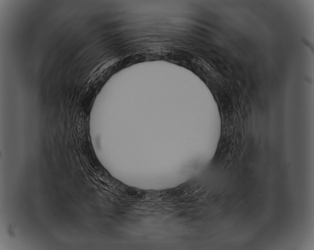 X0000097480773200803201508