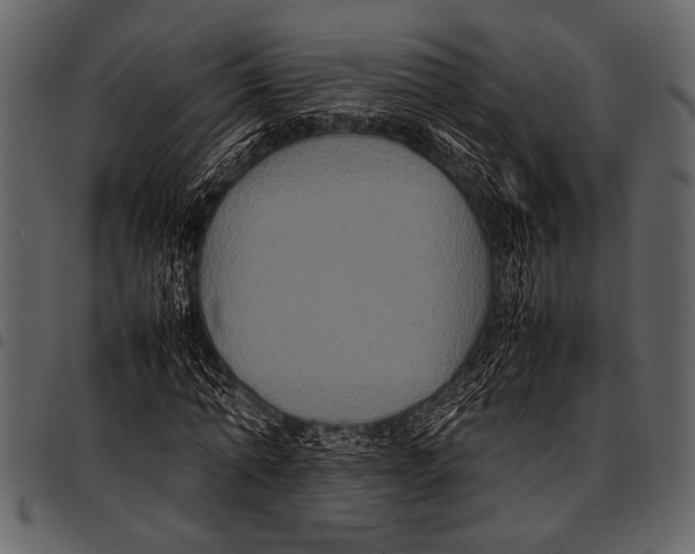 X0000097480774200803201508