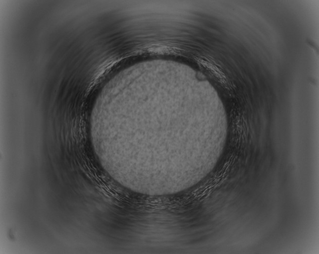 X0000097480776200803201508