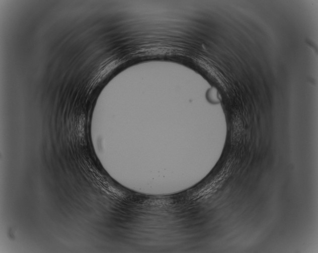 X0000097480778200803201508